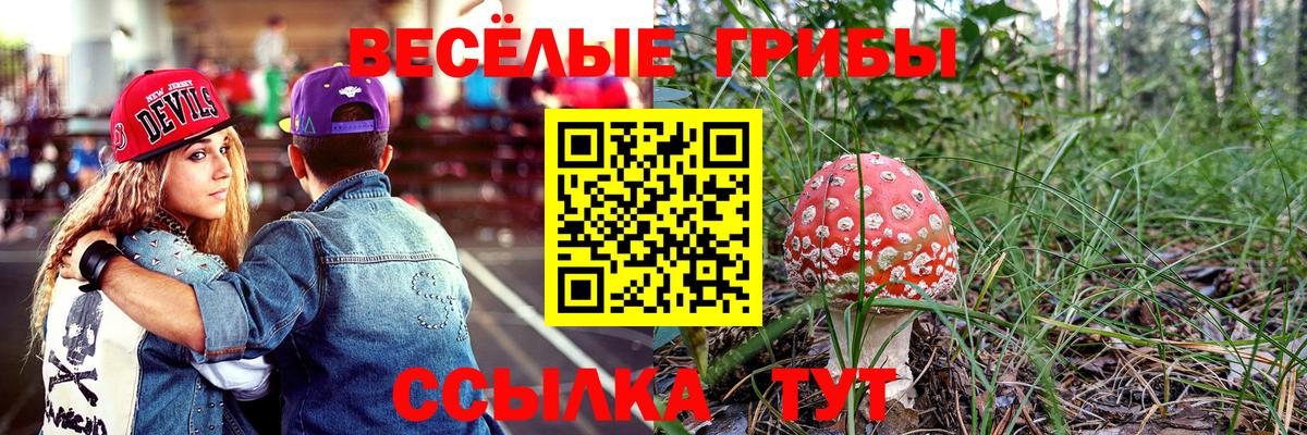 что такое   Галлюциногенные грибы мицелий  Вход с VPN  Набережные Челны 